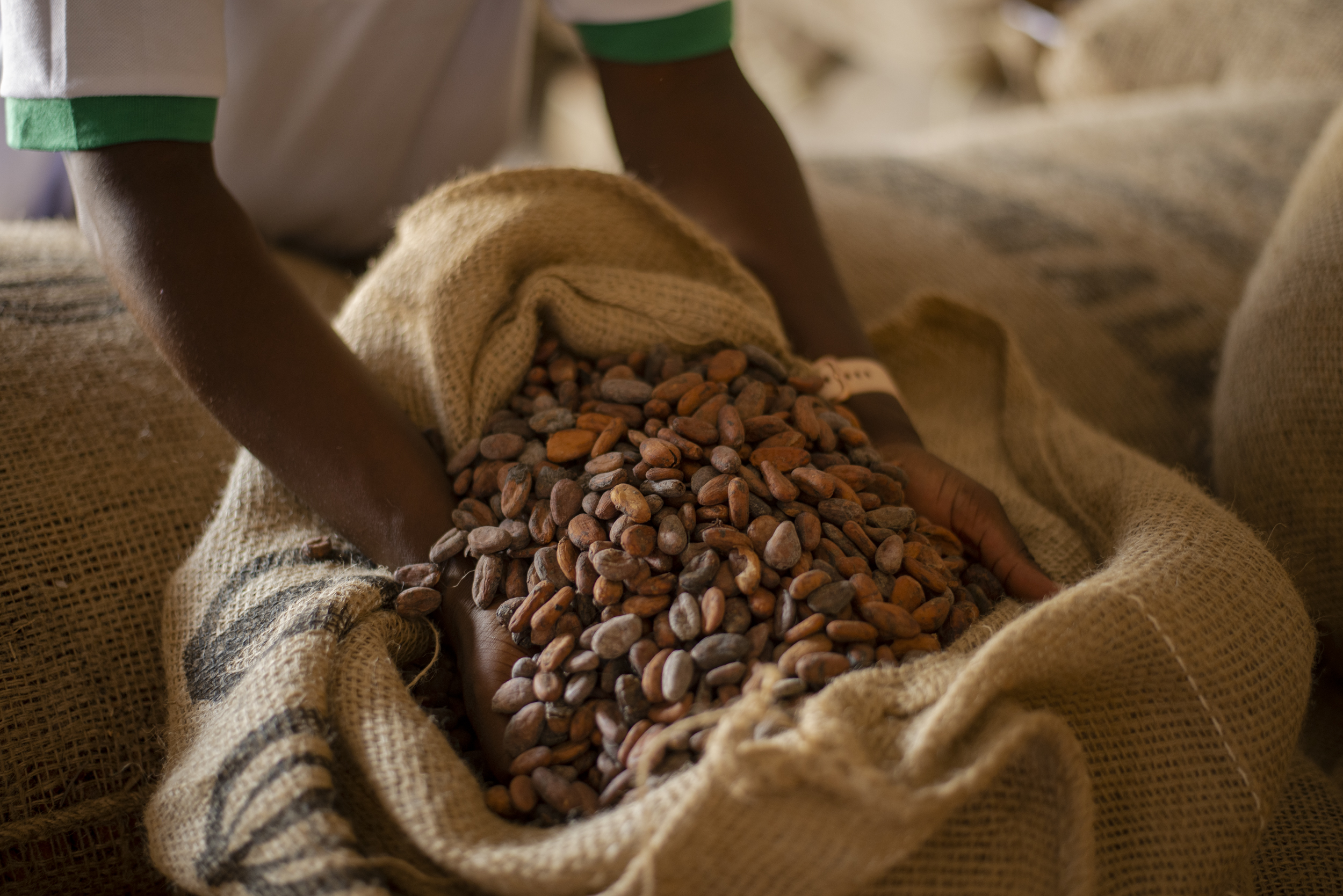 Tutto comincia con un sogno:  andare all’anima del cioccolato